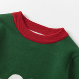 Pulls de noel Assortis